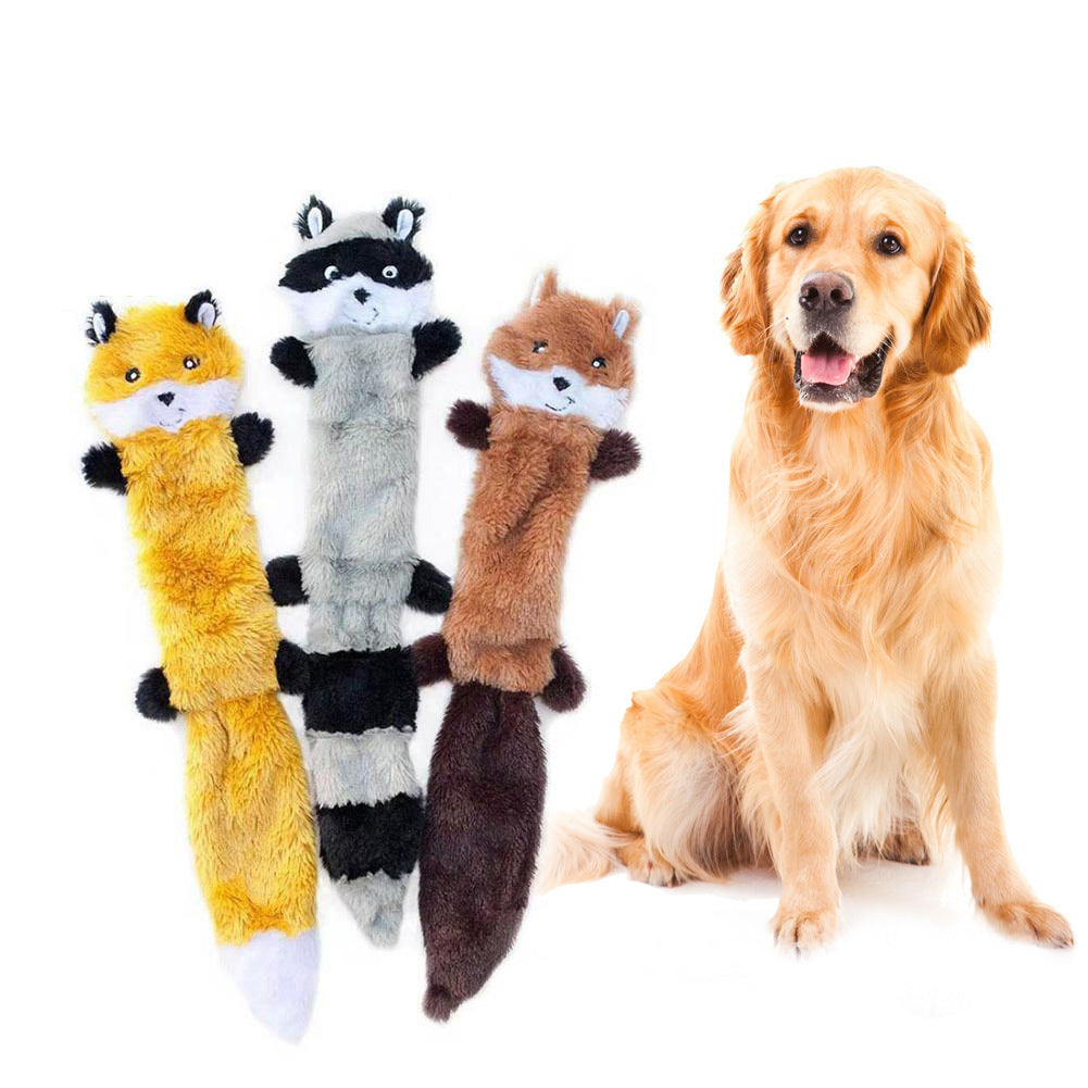 Pet dog toy